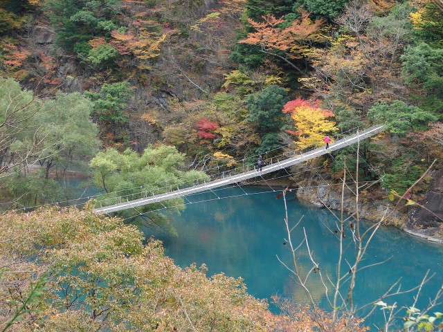 s夢の吊橋（寸又峡）紅葉